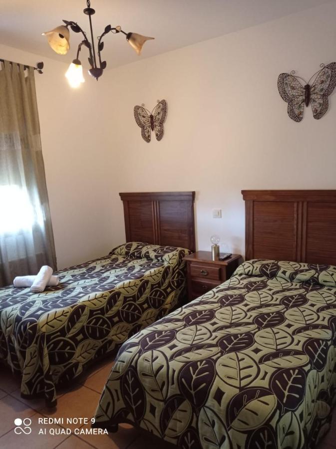 Hostal El Hayedo Cantalojas Ngoại thất bức ảnh